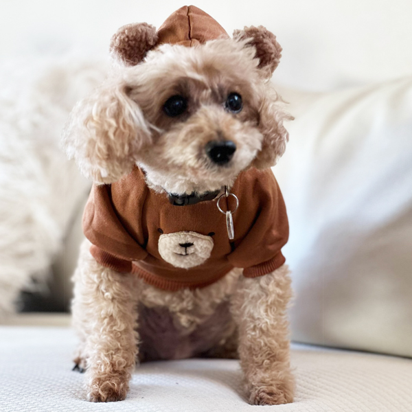 ハンドメイド犬服♡ 3着 ハンドメイド犬服 みてぃ～♡さまオーダー