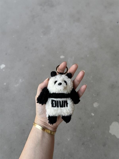 l[^O L[z_[ p_ PANDA